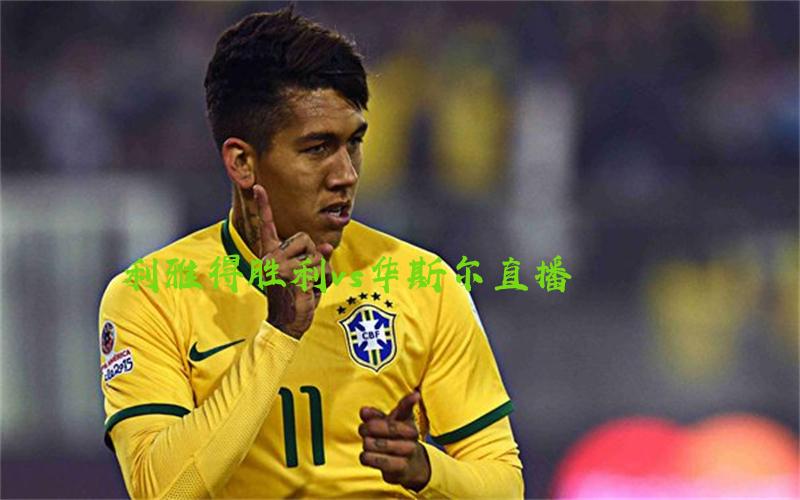 亚冠比赛利雅得胜利vs华斯尔直播
